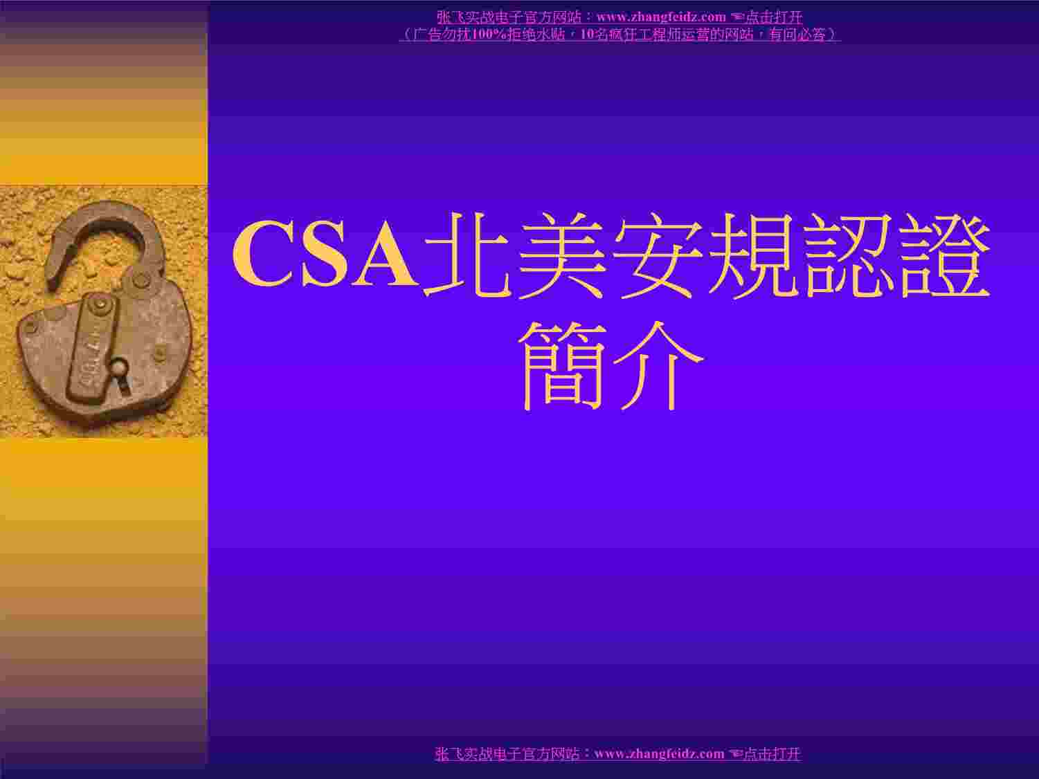 CSA֤PDF1ҳͼƬ