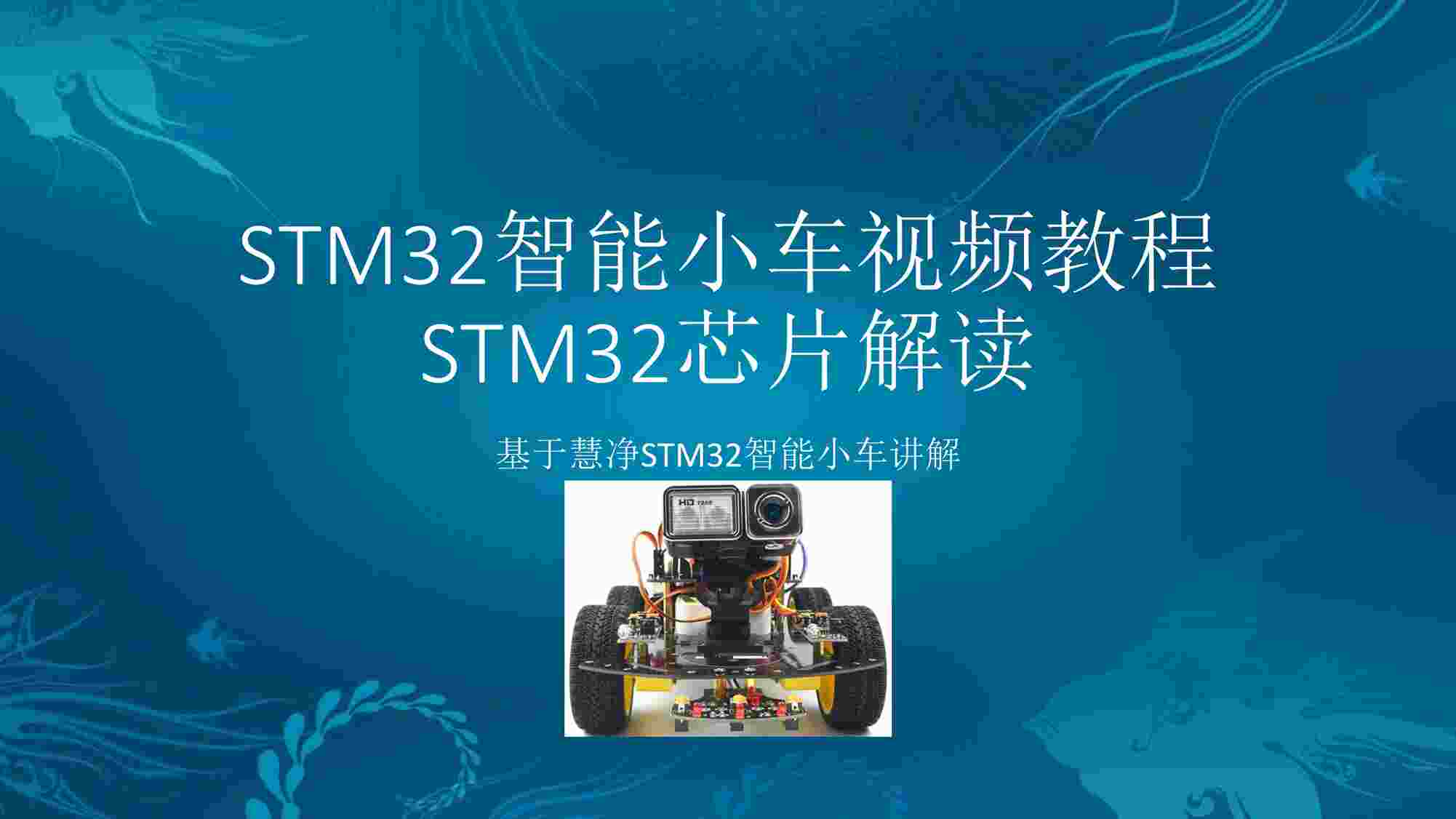 STM32СƵ̳STM32оƬPDF1ҳͼƬ