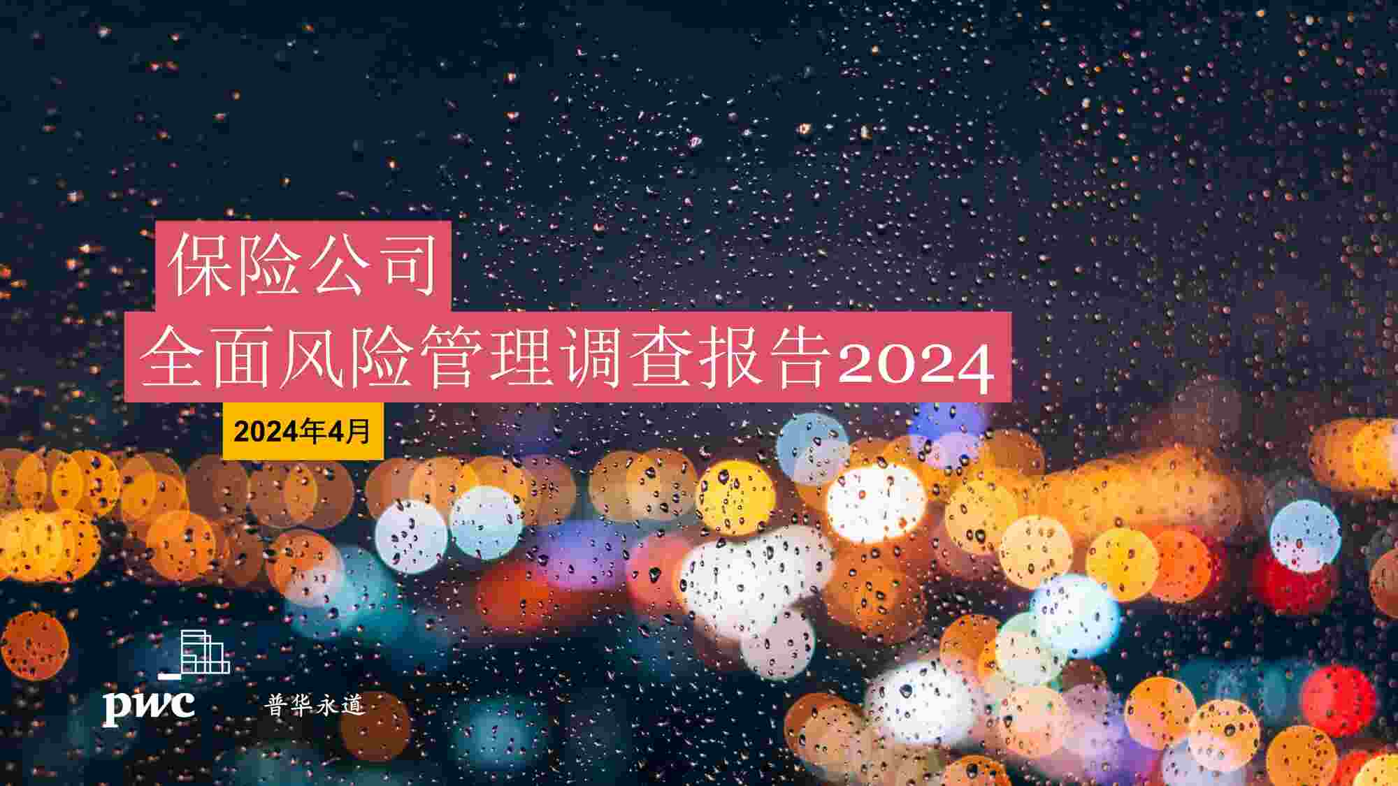 2024չ˾ȫչ鱨PDF1ҳͼƬ